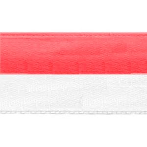 Fita de Cetim Bicolor Najar 22mm 101/005 Rolo com 10 Metros