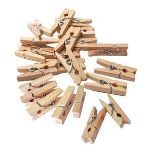 Mini Prendedor de Madeira Luli  2,5cm Pacote com 50un